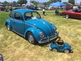 1965 Volkswagen Beetle (CC-1198974) for sale in Long Island, New York