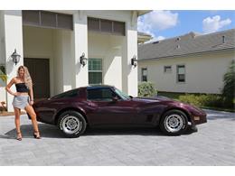1980 Chevrolet Corvette (CC-1199686) for sale in Fort Myers, Florida