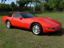 1995 Chevrolet Corvette (CC-1199829) for sale in Palmetto, Florida
