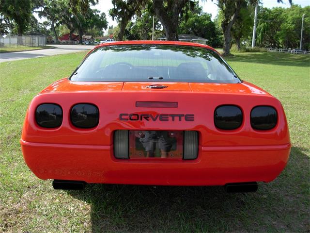 1995 Chevrolet Corvette (CC-1199829) for sale in Palmetto, Florida