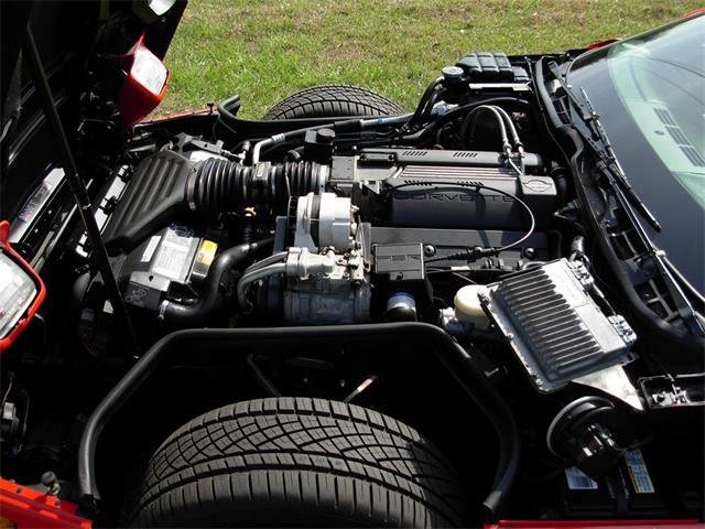 1995 Chevrolet Corvette (CC-1199829) for sale in Palmetto, Florida