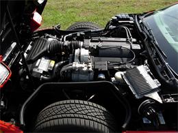 1995 Chevrolet Corvette (CC-1199829) for sale in Palmetto, Florida