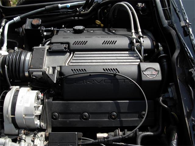 1995 Chevrolet Corvette (CC-1199829) for sale in Palmetto, Florida