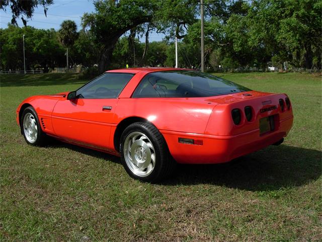 1995 Chevrolet Corvette (CC-1199829) for sale in Palmetto, Florida