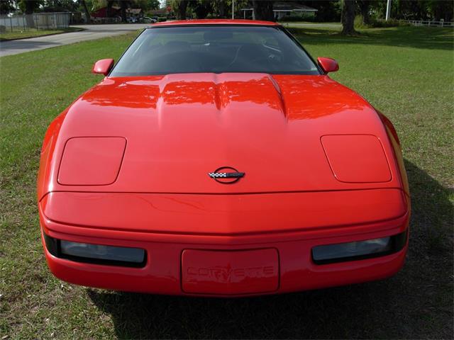 1995 Chevrolet Corvette (CC-1199829) for sale in Palmetto, Florida
