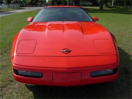 1995 Chevrolet Corvette (CC-1199829) for sale in Palmetto, Florida