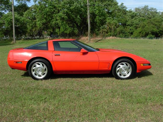 1995 Chevrolet Corvette (CC-1199829) for sale in Palmetto, Florida