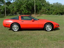 1995 Chevrolet Corvette (CC-1199829) for sale in Palmetto, Florida