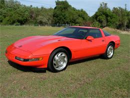 1995 Chevrolet Corvette (CC-1199829) for sale in Palmetto, Florida