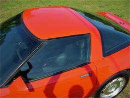 1995 Chevrolet Corvette (CC-1199829) for sale in Palmetto, Florida