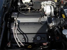 1995 Chevrolet Corvette (CC-1199829) for sale in Palmetto, Florida