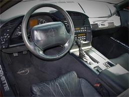 1995 Chevrolet Corvette (CC-1199829) for sale in Palmetto, Florida