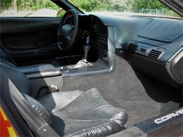 1995 Chevrolet Corvette (CC-1199829) for sale in Palmetto, Florida