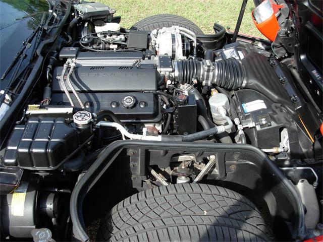 1995 Chevrolet Corvette (CC-1199829) for sale in Palmetto, Florida