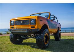 1979 International Harvester Scout (CC-1199886) for sale in Pensacola, Florida