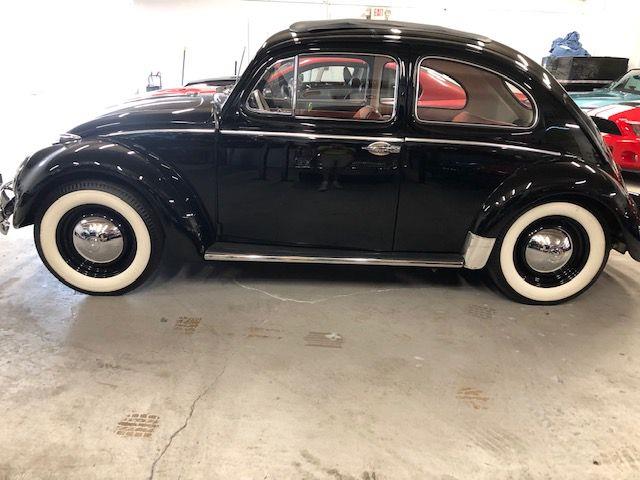 1963 Volkswagen Beetle (CC-1202415) for sale in Boca Raton, Florida