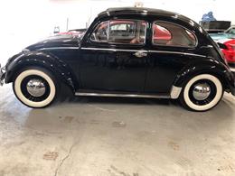 1963 Volkswagen Beetle (CC-1202415) for sale in Boca Raton, Florida
