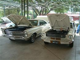 1967 Ford Galaxie 500 XL (CC-1202512) for sale in Kerrville, Texas