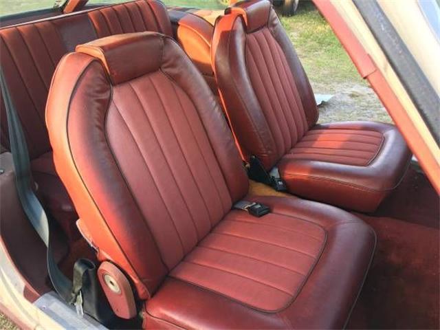 1975 AMC Pacer (CC-1202660) for sale in Cadillac, Michigan