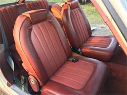 1975 AMC Pacer (CC-1202660) for sale in Cadillac, Michigan
