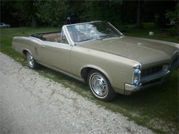 1967 Pontiac LeMans (CC-1204022) for sale in Long Island, New York
