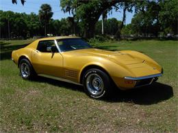 1971 Chevrolet Corvette (CC-1204185) for sale in Palmetto, Florida