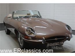 1961 Jaguar E-Type (CC-1204535) for sale in Waalwijk, Noord-Brabant