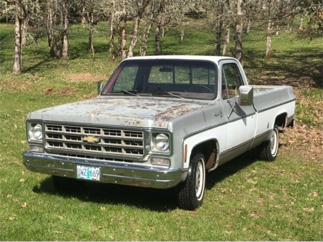 1978 Chevrolet C10 (CC-1205108) for sale in Cadillac, Michigan