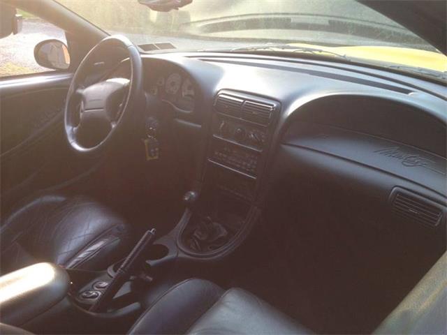 1998 Ford Mustang SVT Cobra (CC-1205218) for sale in Clarksburg, Maryland