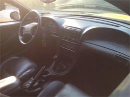 1998 Ford Mustang SVT Cobra (CC-1205218) for sale in Clarksburg, Maryland