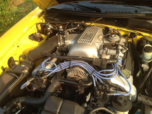 1998 Ford Mustang SVT Cobra (CC-1205218) for sale in Clarksburg, Maryland