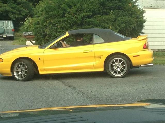 1998 Ford Mustang SVT Cobra (CC-1205218) for sale in Clarksburg, Maryland