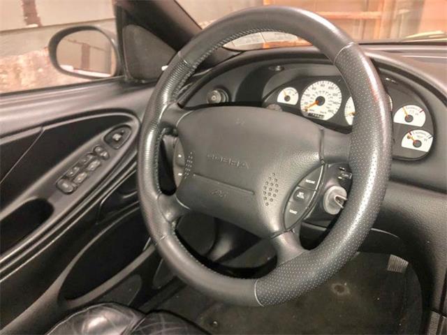 1998 Ford Mustang SVT Cobra (CC-1205218) for sale in Clarksburg, Maryland