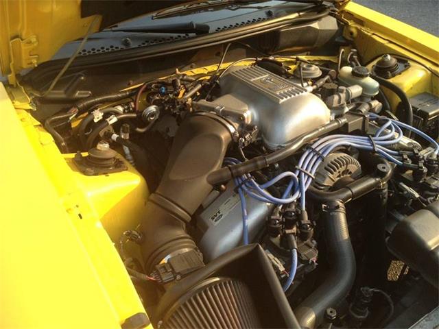 1998 Ford Mustang SVT Cobra (CC-1205218) for sale in Clarksburg, Maryland