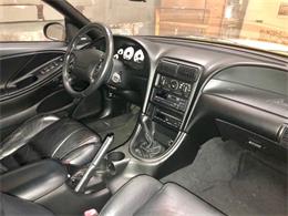 1998 Ford Mustang SVT Cobra (CC-1205218) for sale in Clarksburg, Maryland