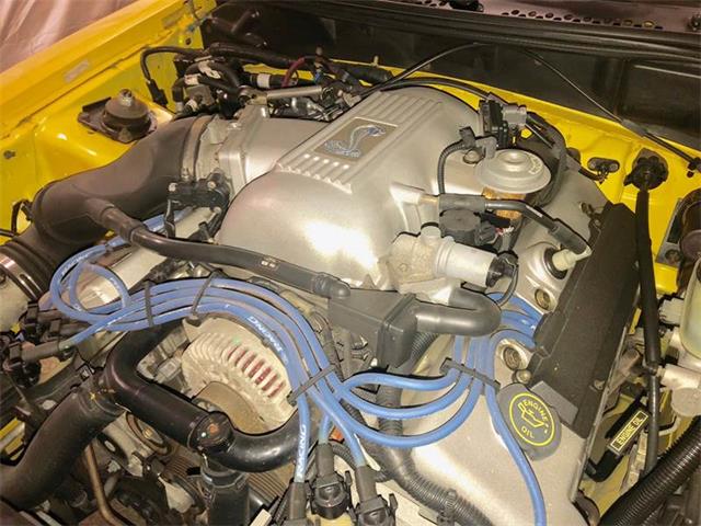 1998 Ford Mustang SVT Cobra (CC-1205218) for sale in Clarksburg, Maryland