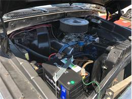 1978 Ford Bronco (CC-1205555) for sale in Midland, Texas