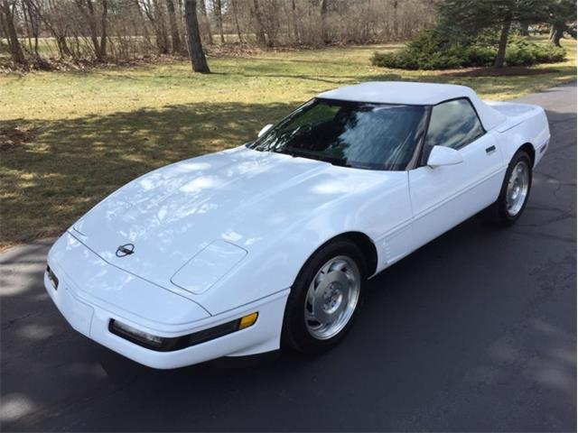 1995 Chevrolet Corvette (CC-1205785) for sale in Holt, Michigan