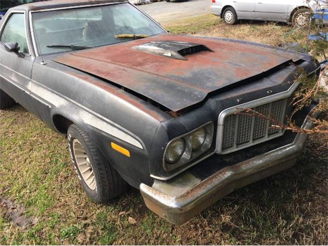 1975 Ford Ranchero (CC-1206045) for sale in Cadillac, Michigan