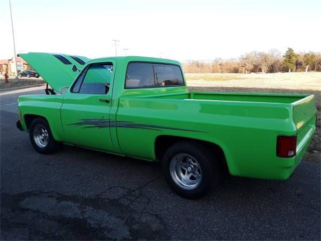 1978 Chevrolet Pickup (CC-1200631) for sale in Cadillac, Michigan