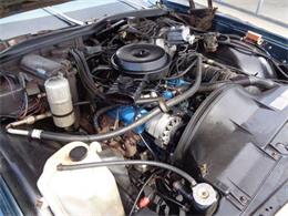 1979 Chevrolet Caprice (CC-1206316) for sale in Staunton, Illinois