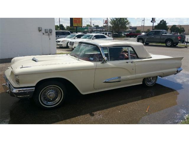 1959 Ford Thunderbird (CC-1206958) for sale in Cadillac, Michigan