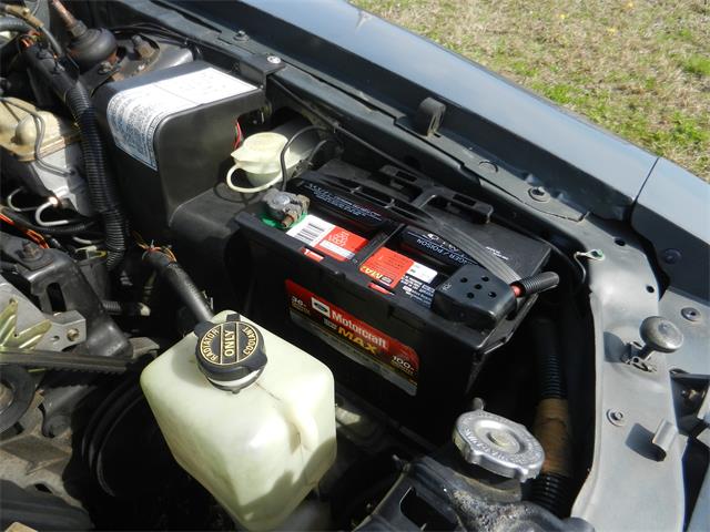 1986 Ford Mustang SVO (CC-1200717) for sale in MCKINNEY, Texas