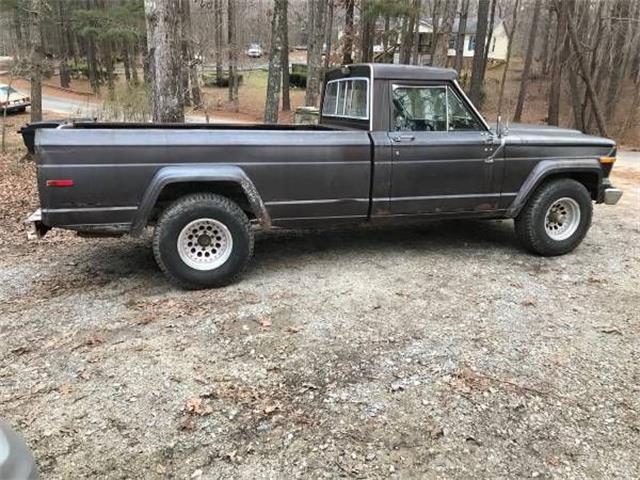 1980 Jeep CJ (CC-1207217) for sale in Cadillac, Michigan