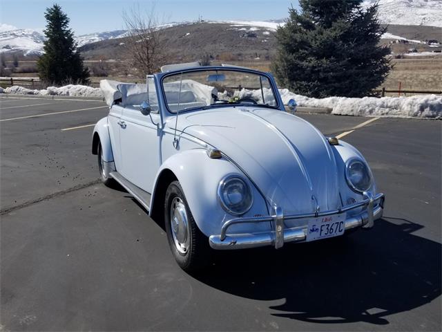 1966 Volkswagen Beetle (CC-1200732) for sale in Sandy, Utah