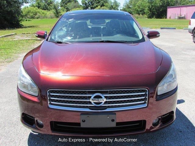 2010 Nissan Maxima (CC-1207523) for sale in Orlando, Florida