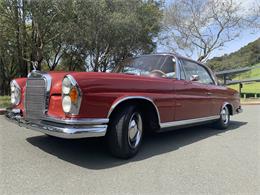 1966 Mercedes-Benz 250SE (CC-1207770) for sale in Novato, California
