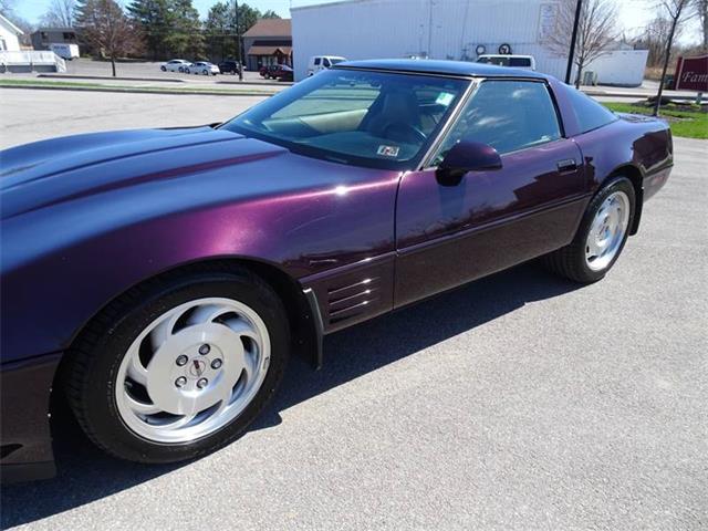 1994 Chevrolet Corvette (CC-1207878) for sale in Hilton, New York