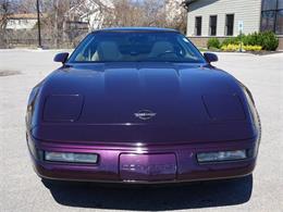 1994 Chevrolet Corvette (CC-1207878) for sale in Hilton, New York