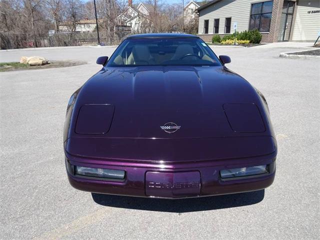 1994 Chevrolet Corvette (CC-1207878) for sale in Hilton, New York